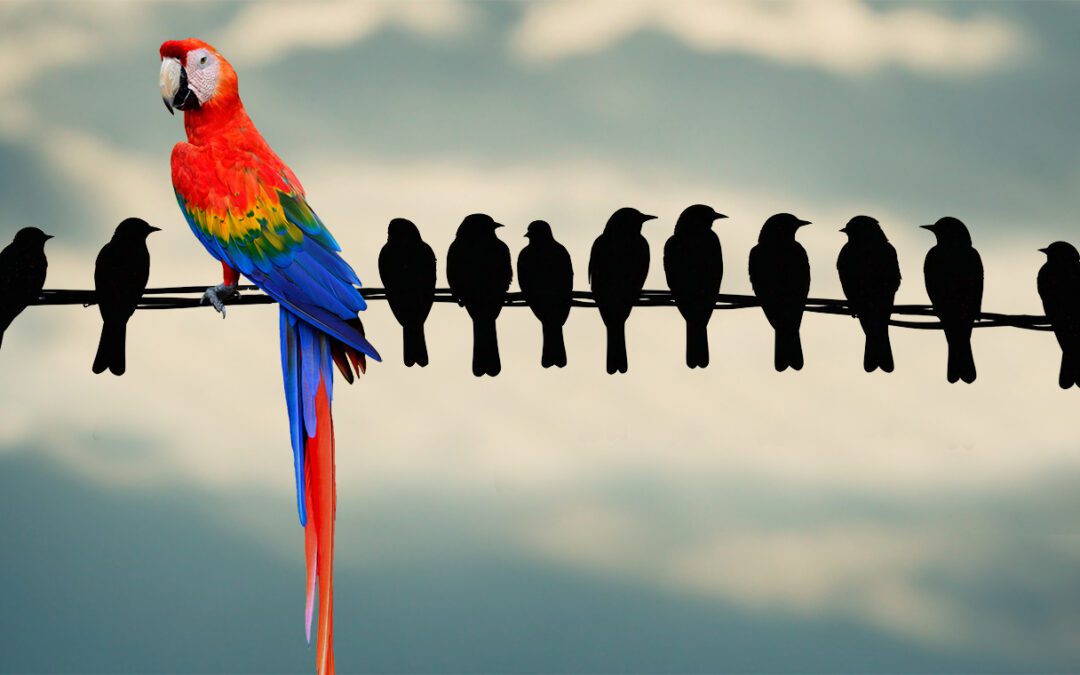 Why Branding Matters in Industrial Marketing: Technical Buyers Trust Proof, Not Promises